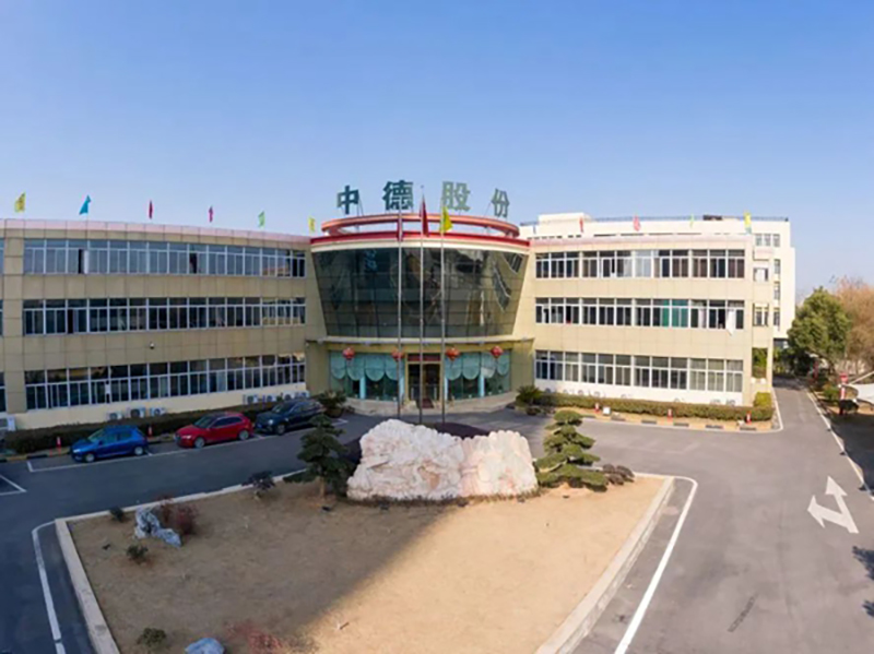 ZHONGDE TECHNOLOGY